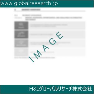 グローバルリサーチ調査資料のイメージ